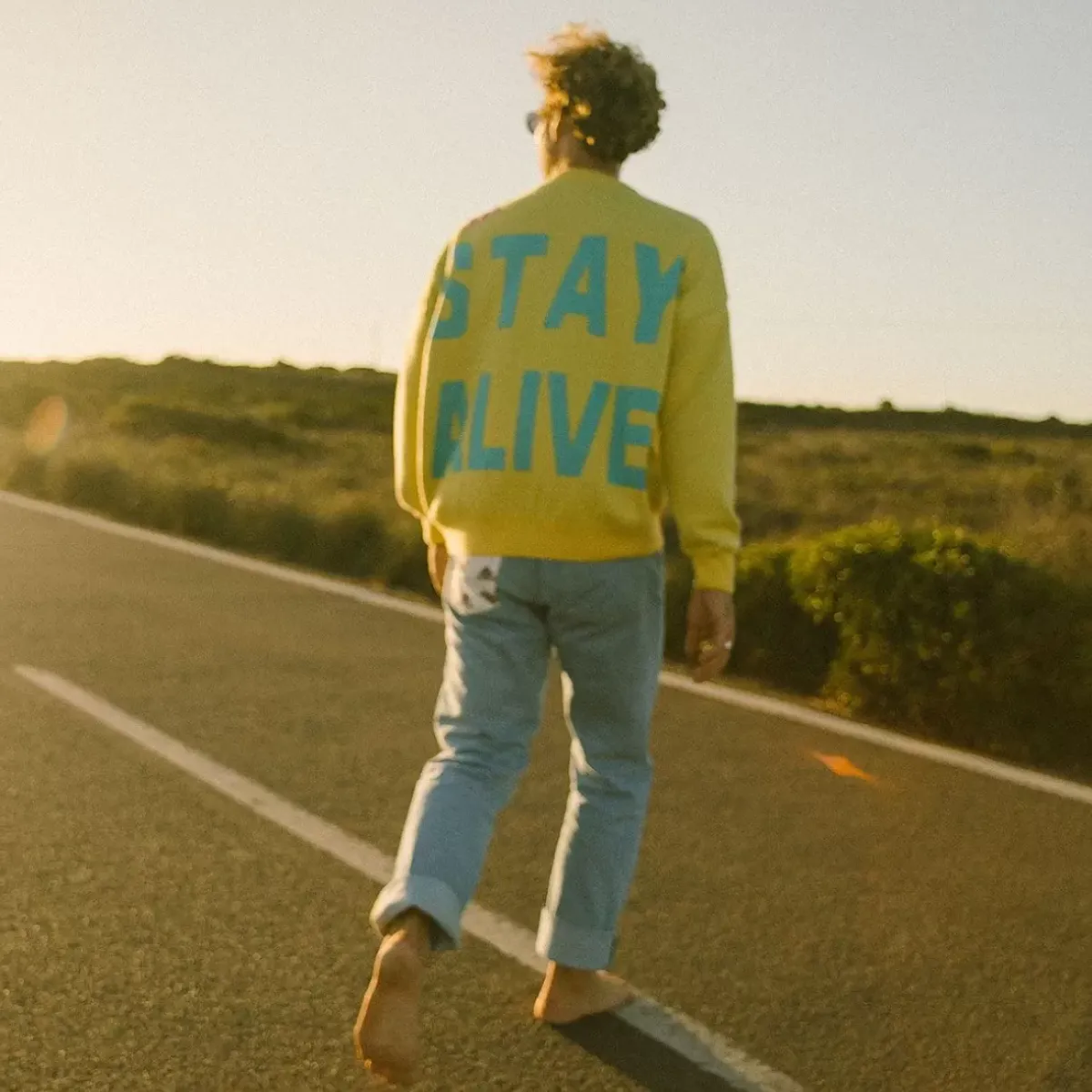 OXBOW Sweater|Clothing-COLLECTOR Sweater ALEXANDRE - Citron