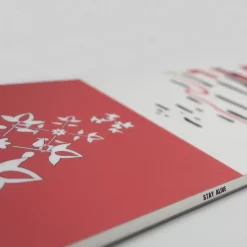 OXBOW Snowboard|Snow-Snowboard HYACINTH - Salt